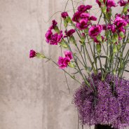 Trendy Dianthus vase design Flower Factor