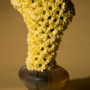 floral treasure Kennedy Cream medium design Pim van den Akker