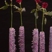 Black Baccara voor kerst