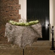 Luxurious Helleborus 'Verboom Beauty' creation