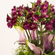 Alstroemeria boeket met Anthuriums Pauline Brouwer Flower Factor