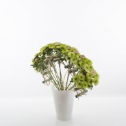 Green bouquet with Chrysant 'Cocoon' from the side