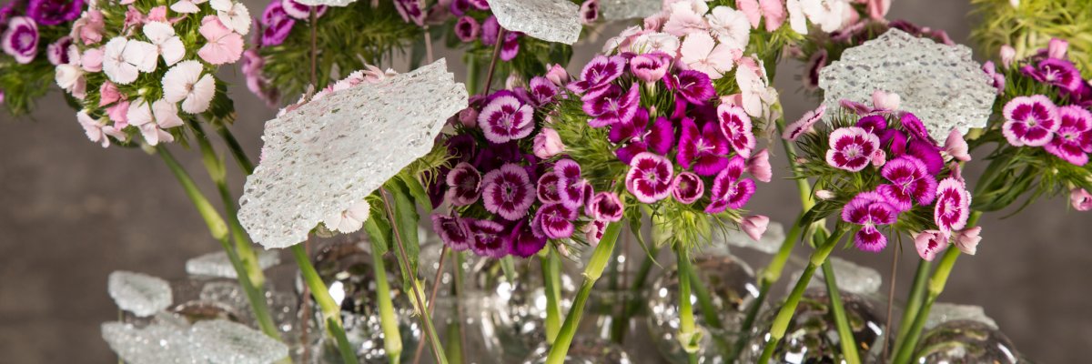 Sprankelend Breanthus stuk voor kerst