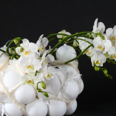 Bubbling orchid design