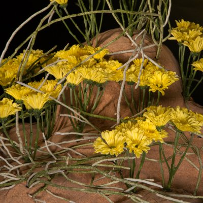 Floral treasure Nibali