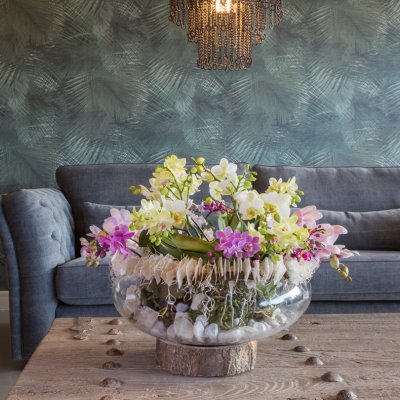 an orchid eye-catcher