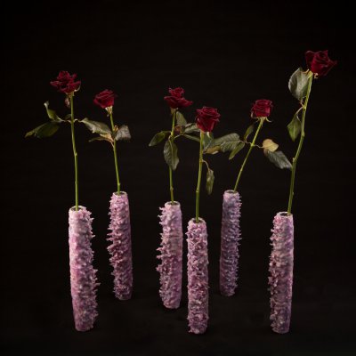 Black Baccara voor kerst