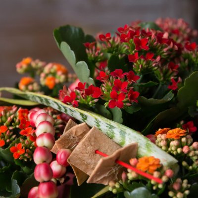 Kalanchoe tafel decoratie