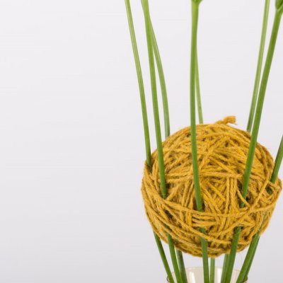 Een hechte Freesia constructie