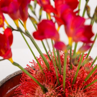 Vurig Freesia design