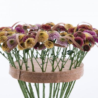 Colourful Chrysanthemum 'Doria' bouquet