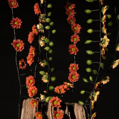 Prachtig herfstjuweel: de Pimento Orange