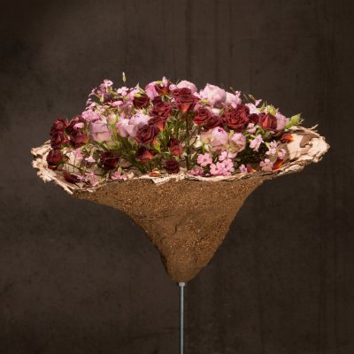 Surprising spray roses