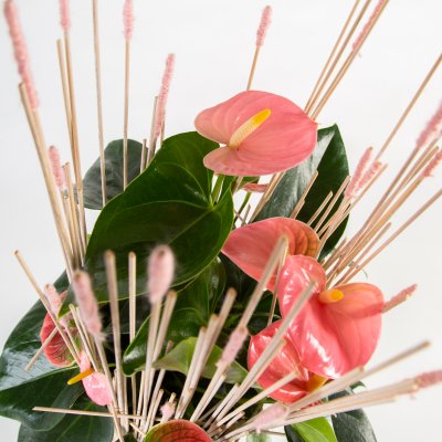 Pink Anthurium arrangement Pink Anthurium arrangement
