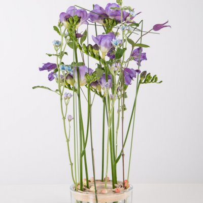 Serene Freesia design
