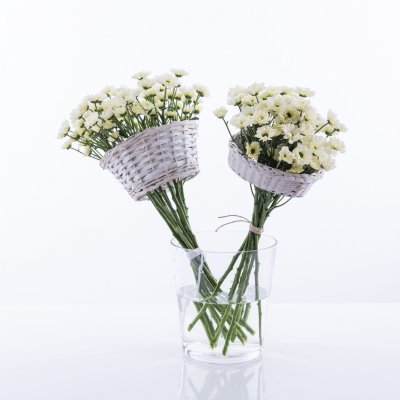 Quick and original Chrysanthemums