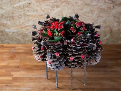 Kalanchoe and pine cones