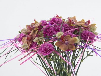 Bijzonder anjer boeket in een frame