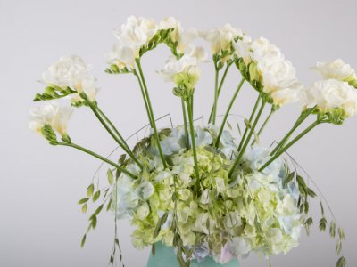 Romantisch Freesia vaas design