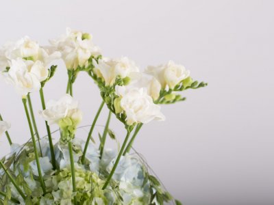 Romantic Freesia vaas design