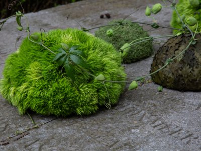 Serene funeral arrangement with Green Trick