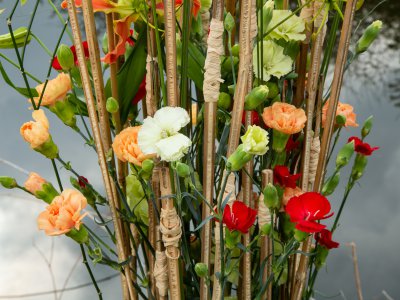 Fresh carnation arrangement