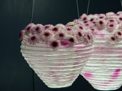 Lanterns with Chrysanthemum Abbey - Limited Edition by Zentoo