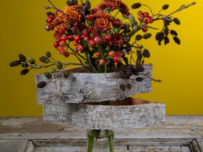 Herfstvaas met schors 