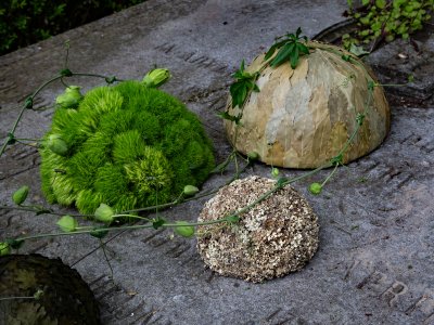 Sereen en natuurlijk rouwwerk met Green Trick