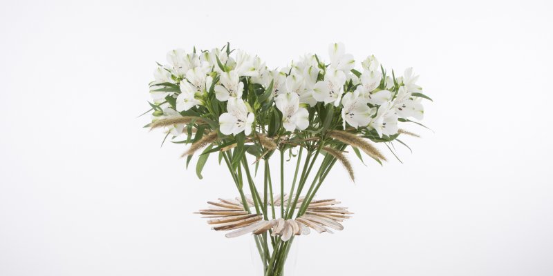 Summer design with Alstroemeria