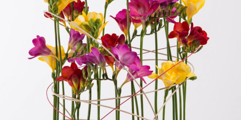 Merry-go-round Freesia design