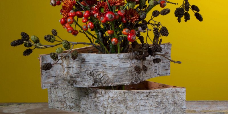 Herfstvaas met schors 