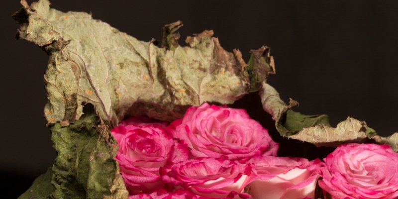 Bijzonder bloemwerk met rozen