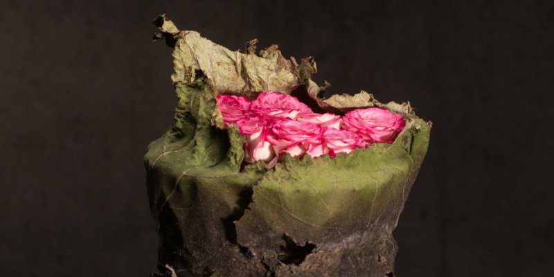Flowering of love