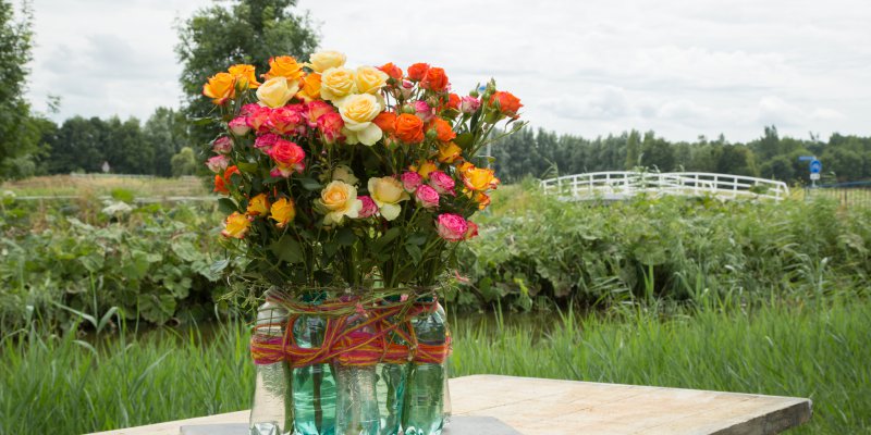 Recycle design with colourful spray roses