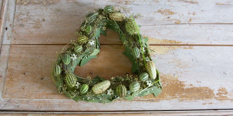 Het delicate groene hart 