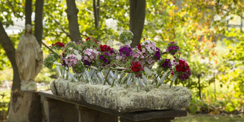 Funeral flower arrangement with Breanthus