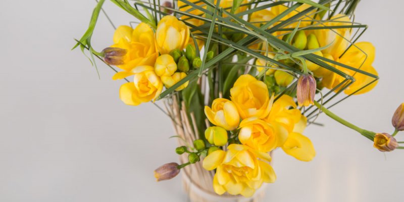 Freesia in hoogstaand gras