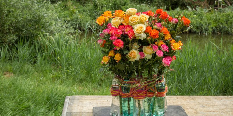 Recycle design with colourful spray roses