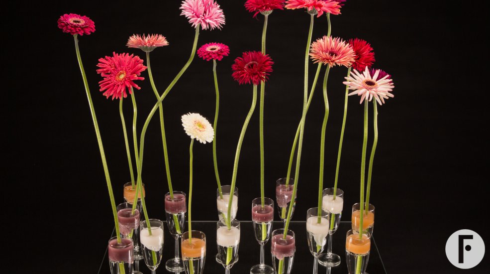 Mix Mini Gerbera Kerstdecoratie