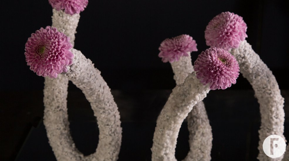 Fun Vanya Pink Chrysanthemums from Zentoo - design by Pim van den Akker
