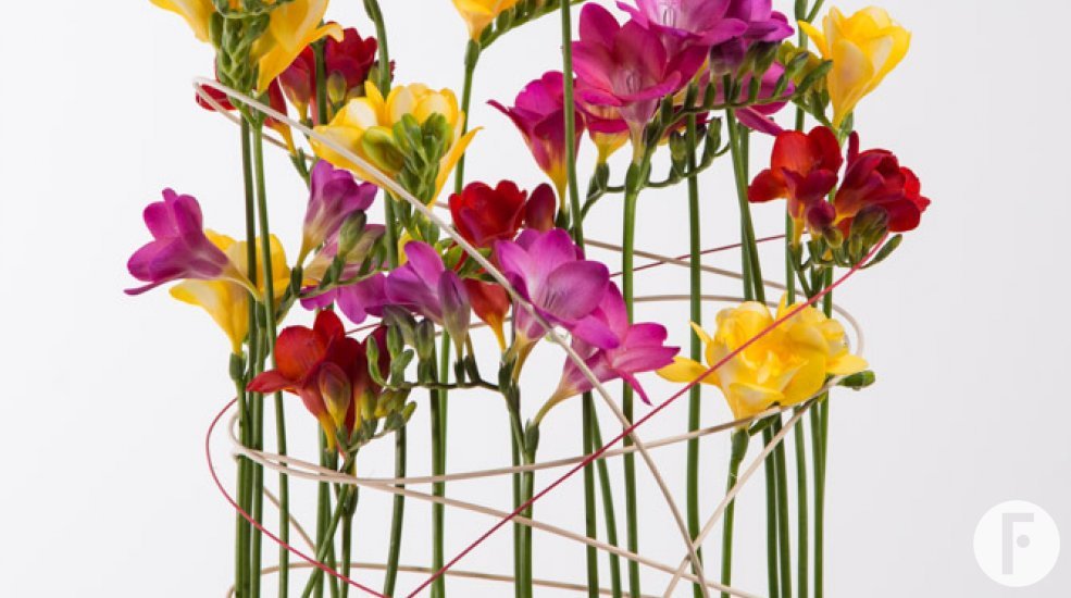 Merry-go-round Freesia design