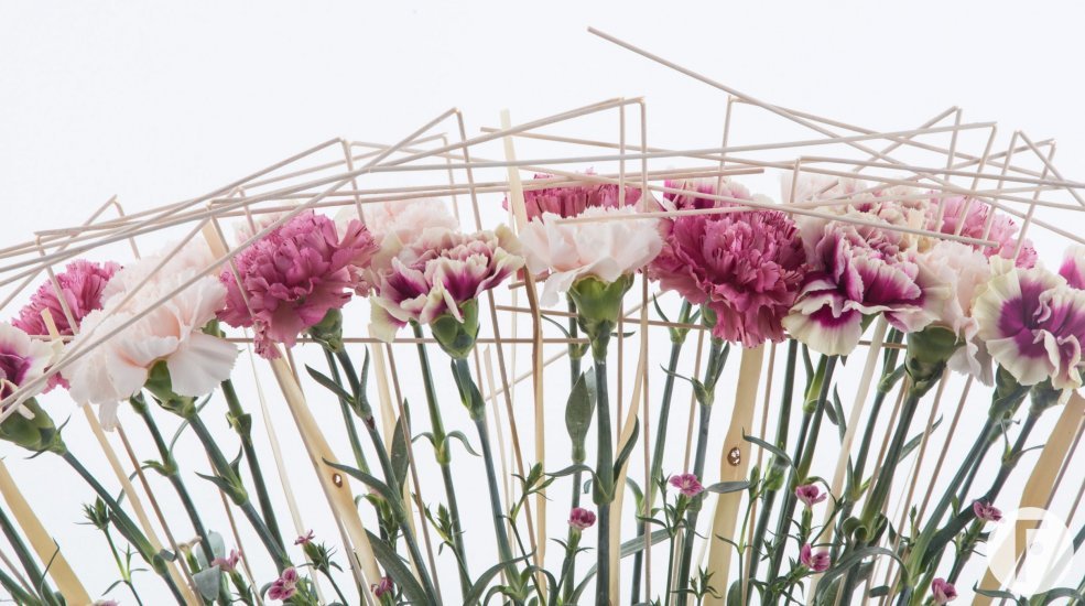 Boat with Dianthus middle piece Close-up