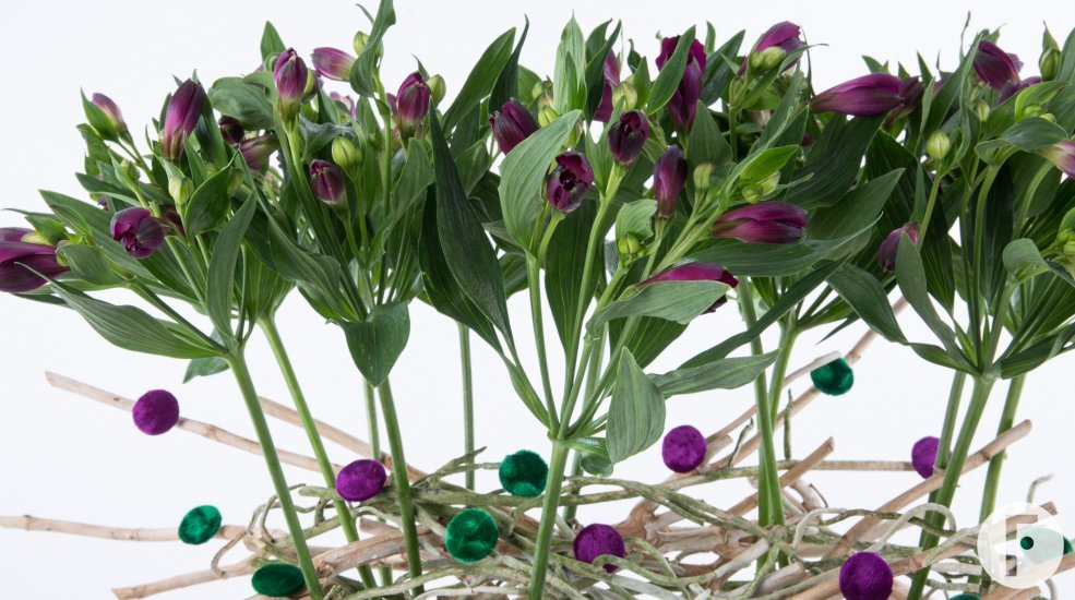 Perky two-piece Alstroemeria bouquet close-up