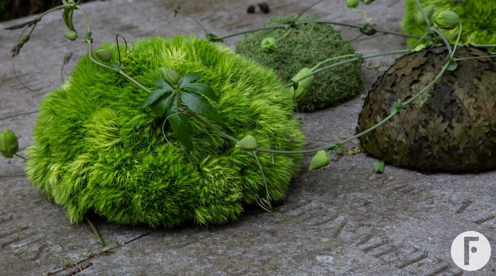 Funeral arrangement with Green Trick