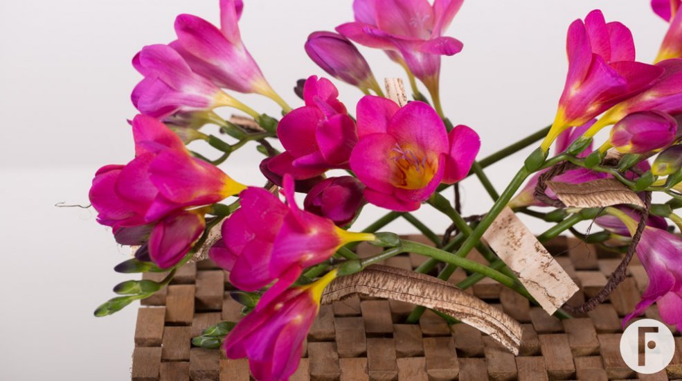 Felroze Freesia arrangement close-up