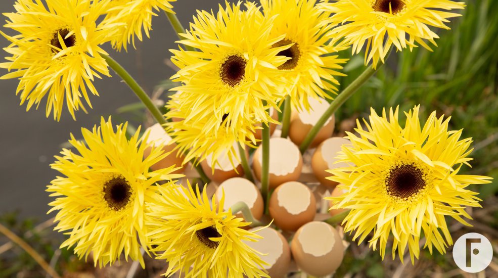 Paasboeket van Pim van den Akker met mini Gerbera Mi Punki Indy van LG Flowers