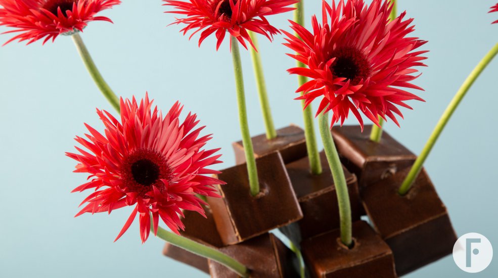 Mini Gerbera Mi Punki Jaya