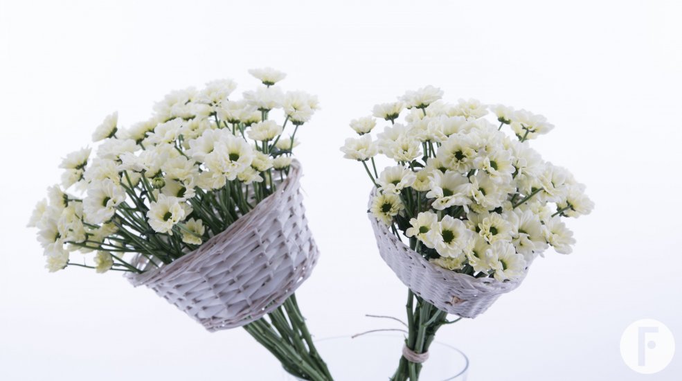 Proscini design Pim van den Akker medium