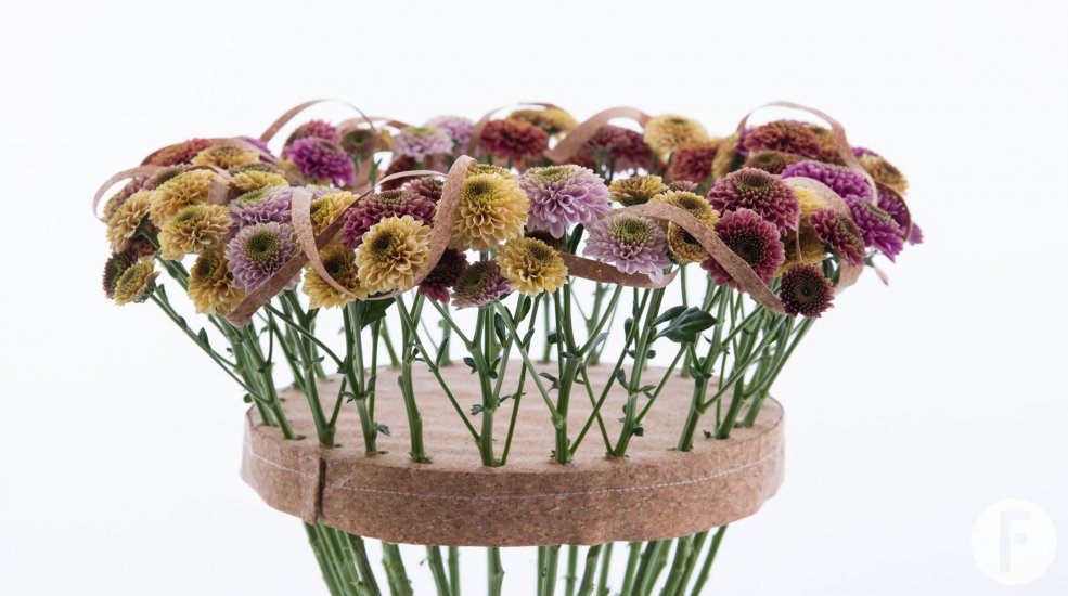 Kleurrijk Chrysant 'Doria' boeket close-up